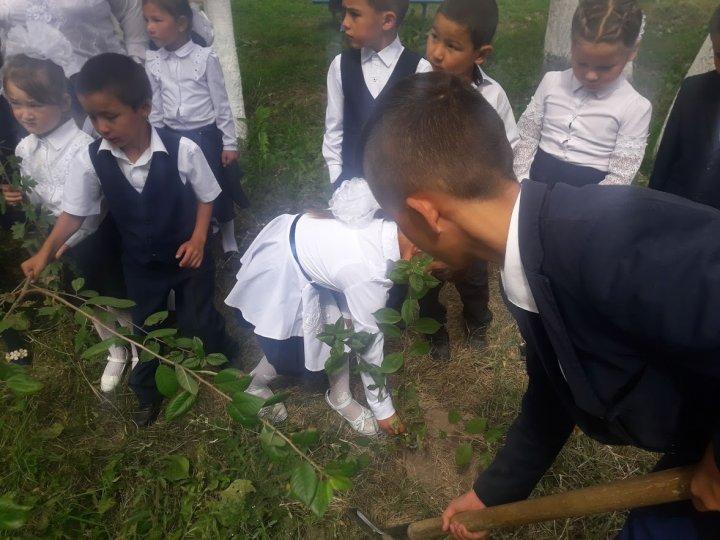 "Бір Акция "Бір бала – бір ағаш" ("Один ребёнок – одно дерево")