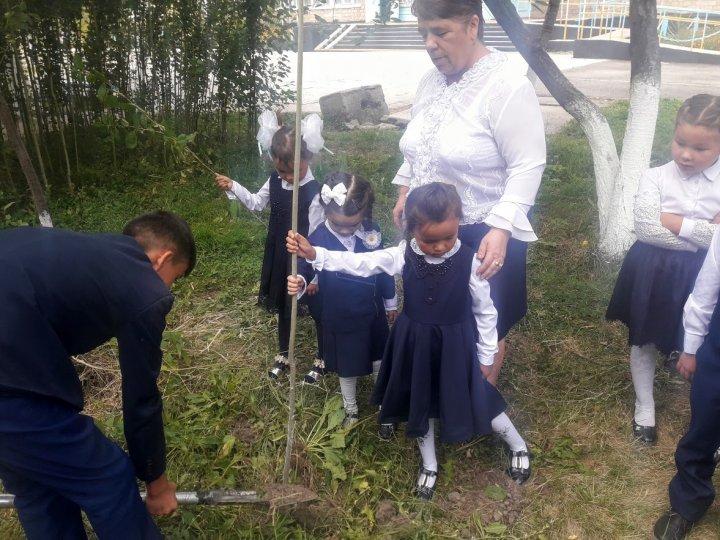 "Бір Акция "Бір бала – бір ағаш" ("Один ребёнок – одно дерево")
