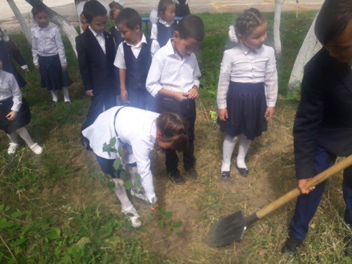 "Бір Акция "Бір бала – бір ағаш" ("Один ребёнок – одно дерево")