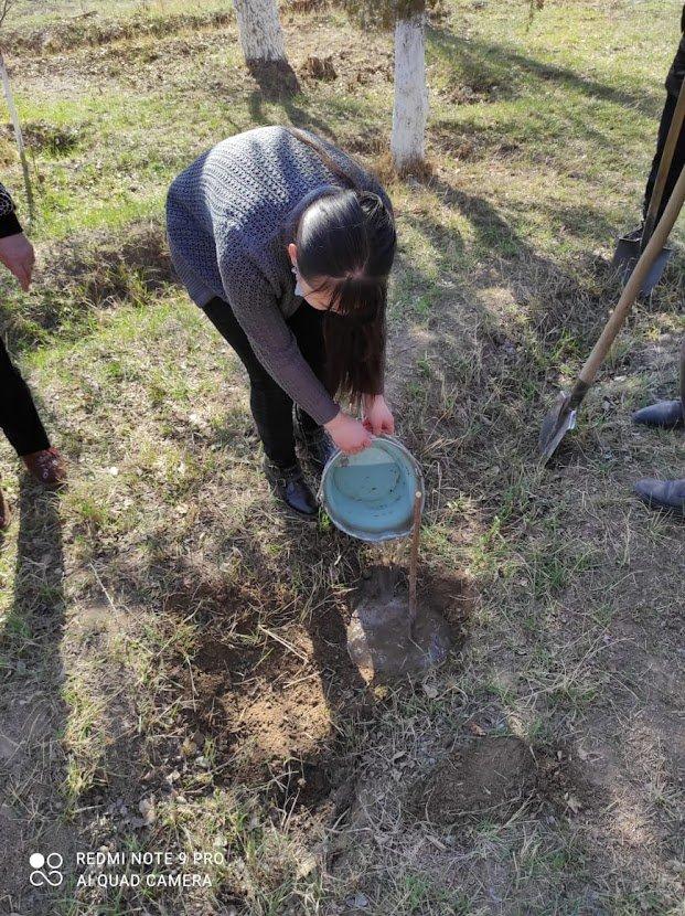 Парламент школы улучшают состояние окружающей среды